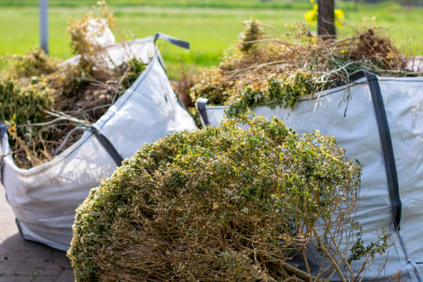 Best Construction Debris Removal  in Ford Heights, IL