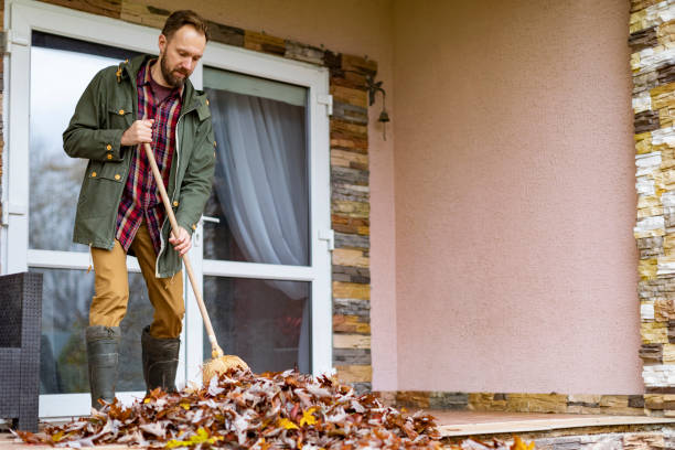 Best Trash Removal Near Me  in Ford Heights, IL